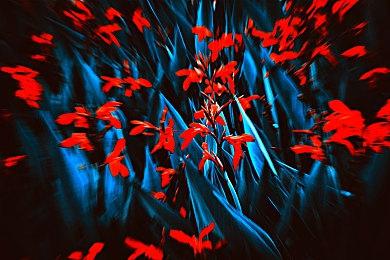 应发行商要求 《NBA2k20＆19＆18》现已从steam下架